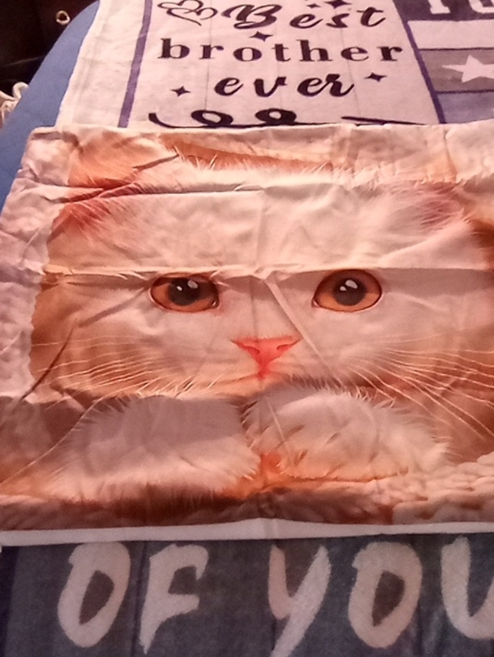 Cozy Cat Face Throw Blanket in Cream and Light Brown